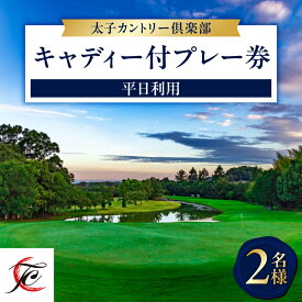 【ふるさと納税】平日利用　2名様　キャディ付プレー券_ ゴルフ場 ゴルフ利用券 キャディ付 プレー券 平日利用 ゴルフ ごるふ チケット 利用券 2名 完全予約制 スポーツ レジャー 関西 大阪府 太子町 太子カントリー倶楽部 送料無料 【1255206】