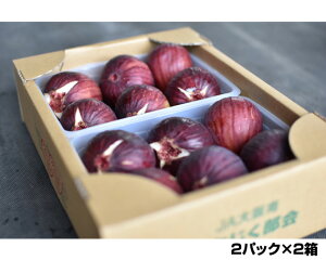 yӂ邳Ɣ[ŁzNo.141 ̂肢@2kg ^ ԉ C`WN ʎ ̂  {