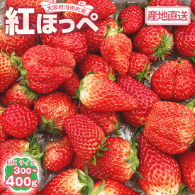 【ふるさと納税】【紅ほっぺ】MIX（サイズいろいろ）300-400g程度 ／ べにほっぺ いちご イチゴ 苺 甘酸っぱい 香り苺 手土産 お取り寄せ 果実 朝摘み 食べ比べ デザート 果物 フルーツ 小粒 大粒 サイズミックス サイズ混合 サイズいろいろ 河南町産 送料無料 大阪府 No.256