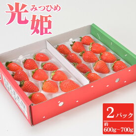 【ふるさと納税】 光姫（イチゴ）約600g～約700g（2パック） ／ いちご 苺 朝採れ フルーツ 果物 旬 2パック 約600g 約700g 甘み 香り ジューシー 冷蔵配送 ギフト フルーツセット 贈答用 果実 スイーツ素材 送料無料 大阪府 No.269