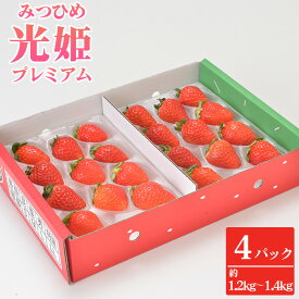 【ふるさと納税】 光姫プレミアム（イチゴ）約1.2kg～約1.4kg（4パック） ／ いちご 苺 光姫 プレミアム フルーツ 大粒 ジューシー 香り 甘み 4パック 約1.2kg 約1.4kg 冷蔵便 朝採れ 季節限定 ギフト 果物 詰め合わせ スイーツ素材 果実 送料無料 大阪府 No.272