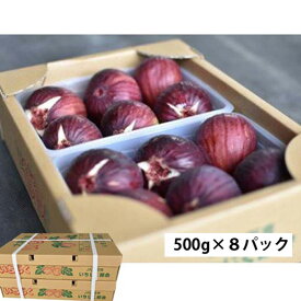 【ふるさと納税】 いちじく 朝採り 【2026年配送】　約4kg ／ 無花果 イチジク フルーツ くだもの 果物 果実 朝採れ 新鮮 大容量 農家直送 河南町産 大阪府 特産品 送料無料 No.281