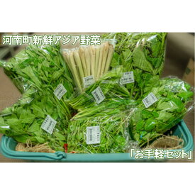 【ふるさと納税】河南町新鮮アジア野菜「お手軽セット」 ／ 唐辛子 パクチー バジル 大阪府 No.332 野菜セット 新鮮 香り 空芯菜 食材 エスニック 料理素材 冷蔵配送 旬 食卓アレンジ お取り寄せ 家庭料理 香味野菜