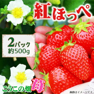 yӂ邳Ɣ[Łz ̔@䕁@gق ^ C`S  ʕ t[c ܖ RN Y _Y  { No.392