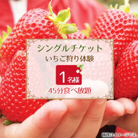 【ふるさと納税】 苺狩り　シングルチケット ／ いちご イチゴ うま味 コク 紅ほっぺ 星の煌めき おいCベリー 宝交早生 果物 フルーツ 券 送料無料 大阪府 No.394