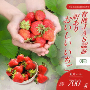 �y�ӂ邳�Ɣ[�Łz �󂠂�@���������������@�L�@JAS�F�؂������@700g�@36�� �^ � �ʕ� �t���[�c ���n������ �L�@������ ���R�͔| �I�[�K�j�b�N ����L�� �Î_���ς� �킯���� �ƒ�p ���Y ��