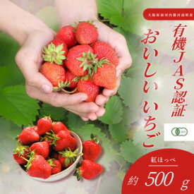 【ふるさと納税】 おいしいいちご　有機JAS認証いちご　500g　24粒 ／ 苺 果物 フルーツ 完熟いちご 有機いちご 自然栽培 オーガニック 香り豊か 甘酸っぱい 国産 河南町産 大阪府 特産 送料無料 No.407