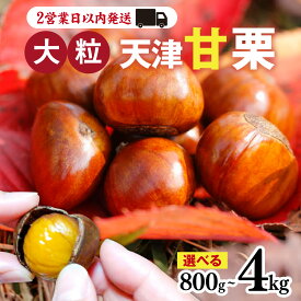 【ふるさと納税】天津甘栗 選べる容量 800g 1.1kg 2kg 2.5kg 4kg / 栗 兵庫 兵庫県 おやつ 特選大粒栗 大粒 おやつ お菓子 スイーツ 栗好き 焼き栗 焼き 栗 マロン 国産 こだわり製法 新栗 スピード発送 最短2営業日発送