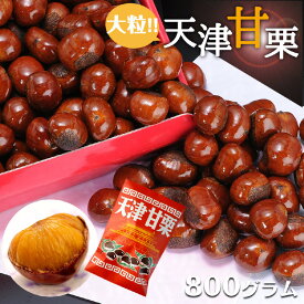 【ふるさと納税】天津甘栗 800g　【 特選大粒栗 大粒 大粒栗 おやつ お菓子 スイーツ 栗スイーツ 栗好き 焼き栗 マロン こだわり製法 】　寄付受付：2024年7月15日まで