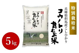 【ふるさと納税】コウノトリ育むお米 5kg＆蛇紋岩米 5kg　セット　令和5年度産　【 お米 コシヒカリ 蛇紋岩米 コウノトリ育む米 こしひかり 白米 但馬 大粒 ふっくら 炊き立て 甘い 粘り ごはん もちもち 】