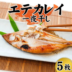 yӂ邳Ɣ[ŁzRAY GeJC 銱 Hׂ₷TCY 5 / JC  Ԗr  銱 Ă TCY ̂ǂ   V Ɍ