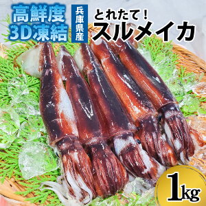 yӂ邳Ɣ[ŁzXCJ Ⓚ 1kg 5tO / Yn  XCJ 1kg 5t  CN C̍K VN }Ⓚ Ⓚ NxQ hg h CJtC ϕ pĂ  CJQ\ ߂ 