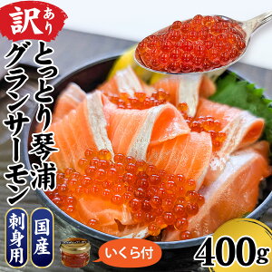 yӂ邳Ɣ[Łzy󂠂z Y ƂƂՉYOT[hgp 400g t ŕ֗ / T[ VP   pbN    L hg hg CN CN 