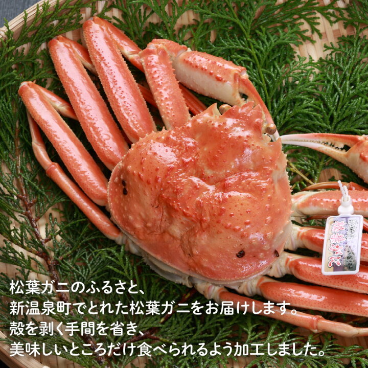 楽天市場】【ふるさと納税】松葉ガニの名産地 但馬浜坂の松葉ガニ夫婦A 