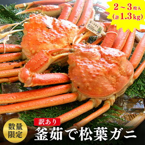 yӂ邳Ɣ[Łzyr[Ly[zyʌz 󂠂 䥂 tKj 2`3 v1.3Kg y I CN CY C̍K j Cxg H O Jj uh  hg Jj