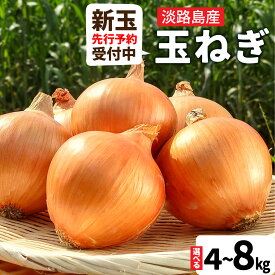 【ふるさと納税】【新玉ねぎ先行予約受付中】淡路島産 フルーツ玉ねぎ 選べる種類容量 【熟成 / 新玉】【4kg / 8kg】サイズ色々 / 淡路 淡路島 あわじ たまねぎ タマネギ 玉葱 淡路島産玉ねぎ カレー シチュー バーベキュー スープ サラダ 料理 訳あり 送料無料 先行予約