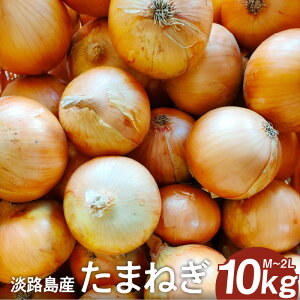 yӂ邳Ɣ[ŁzWH ܂˂yIׂeʁz5kg 10kgyM`2LTCYz / ʂ˂ ʔK ^}lM ʃlM IjI o[xL[ T_ Ă X[v Y 