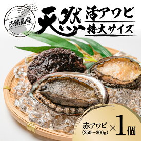 【ふるさと納税】天然活アワビ 特大サイズ1個〜3個 淡路島産 / 国産 アワビ 鮑 活アワビ 刺身 ステーキ 酒蒸し 焼き バターソテー 海鮮 海産物 魚介 魚介類 贅沢 手のひらサイズ 淡路 淡路島 兵庫県