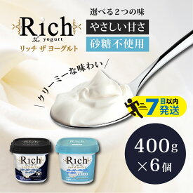 【ふるさと納税】共進牧場 リッチザヨーグルト 400g×6個 / ヨーグルト 生乳 リッチ 乳製品 お取り寄せ スイーツ 洋菓子 健康 ギフト プレゼント 誕生日 朝食 クリーミー 濃厚 生乳 パン スコーン パフェ フルーツサンド アレンジ 誕生日