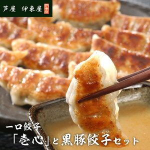 yӂ邳Ɣ[Łz LquSvƍLqZbg 48 ^ lC  Zbg 傤 Lq  ؗ Ⓚ ⓀLq ȒP MEU  ` W[V[ Y  
