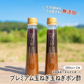【ふるさと納税】 淡路島産玉ねぎを使ったプレミアム玉ねぎポン酢　2本セット【 無添加 ポン酢 調味料 すりおろし 赤玉ねぎ 味付け 料理 淡路島産 国産 送料無料 】