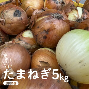 yӂ邳Ɣ[Łz 󂠂 ʂ˂ 5kg WH t[hX ܂˂ SDGs y s TCY  ~bNX S M L 2L ^}lM IjI XCX T_ no[O Ⴊ ē  BBQ X[v 