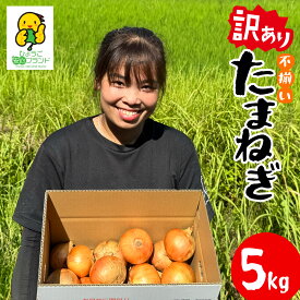 【ふるさと納税】 訳あり 玉ねぎ（新玉ねぎ） 5kg 淡路島 フードロス SDGs　／ たまねぎ SDGs サイズ 混合 ミックス S M L 2L タマネギ オニオン サラダ ハンバーグ 肉じゃが 焼肉 常備菜 BBQ スープ 味噌汁 産地直送 兵庫県 淡路市