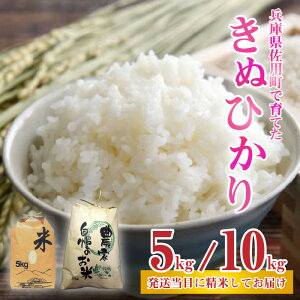 yӂ邳Ɣ[Łzys\zV ɌpňĂʂЂ 5kg ^ 10kg y2025N9{珇\z ɌY ʂЂ _   AN Iׂ