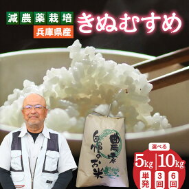 【ふるさと納税】【選べる容量・回数】兵庫県佐用町で育てたきぬむすめ／兵庫県産 きぬむすめ 減農薬米 精米 お米 特Aランク ツヤ 穀物 粘り 新鮮 おにぎり 新米