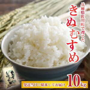 yӂ邳Ɣ[Łzys\zV ɌpňĂʂނ 5kg ^ 10kg y2025N10{珇\z ɌY ʂނ _   AN Iׂ