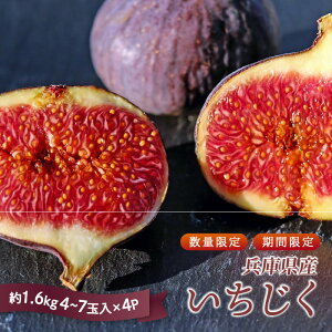 yӂ邳Ɣ[Łzy s\ ^ ʌ z ɌY ԉ 4pbN (1.6kg)y  C`WN t[c ʕ Yn Â  Ԍ ʌ  _ z
