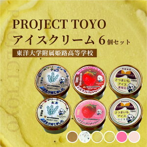 yӂ邳Ɣ[ŁzPROJECT TOYO ACXN[ 6 Zbg mwPHwZy ACX ACXN[ lߍ킹 Zbg  `R g oj Ȃ V[xbg WF[g m