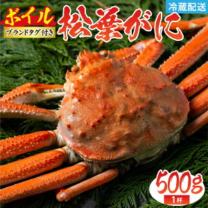 yӂ邳Ɣ[ŁztKj 500g 1t({C)^I YCKj l⋙` ^Ot Y {C  VN 䥂 iȊÂ CN C̍K  Y ① tKj  uh Ă䥂 I