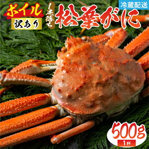 yӂ邳Ɣ[Łzy󂠂zt 500g 1t 1({C)^I YCKj l⋙` ^Ot Y {C  VN 䥂 iȊÂ CN C̍K  Y ① tKj  u