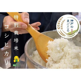 【ふるさと納税】特別栽培米 神戸のまごころ コシヒカリ 精米　5kg
