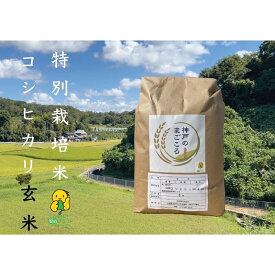 【ふるさと納税】令和7年産　新米　特別栽培米 神戸のまごころ コシヒカリ 玄米　5kg