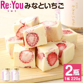 【ふるさと納税】ふぞろいごろごろ 「Re:Youみなといちご」（220g入りチョコレート×2）
