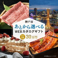 【ふるさと納税】 駆け込み寄附でも安心!とりあえずの寄附に最適!返礼品は欲...