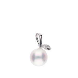 yӂ邳Ɣ[ŁzyPʁzARp[ _Ch v`i y_ggbvbF AR^ 8.0mm Eh PT900