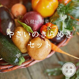 【ふるさと納税】やさいのキラメキセット【神戸市】 | お届け おたのしみ 野菜 やさい 食品 人気 おすすめ 送料無料