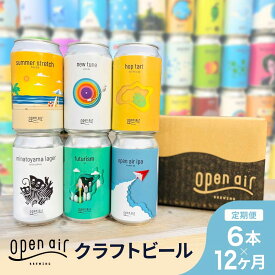 【ふるさと納税】【定期便】open air クラフトビール定期便 1年＜全12回毎月お届け＞