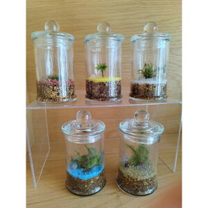 yӂ邳Ɣ[ŁzKOBE@COLORS@`STONE & MOSS`