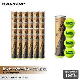 【ふるさと納税】セント・ジェームス・プレミアム 4個入30ボトル 120ヶ | ダンロップ テニス テニスボール テニスグッズ テニスプレイヤー セント ジェームス プレミアム おすすめ 人気 送料無料