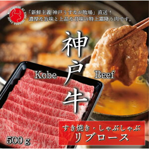 【ふるさと納税】【うすなが牧場】神戸牛 純但馬うすなが牛 リブローススライス500gFU1