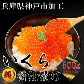 【ふるさと納税】いくら 鱒いくら醤油漬け 500g（250g×2） | イクラ 鱒 鱒卵 マス ます 醤油漬け 醤油 しょうゆ漬け 魚卵 魚介類 水産 小分け 海鮮 食品 人気 おすすめ 送料無料
