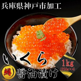 【ふるさと納税】いくら 鱒いくら醤油漬け 1kg（250g×4） | イクラ 鱒 鱒卵 マス ます 醤油漬け 醤油 しょうゆ漬け 魚卵 魚介類 水産 小分け 海鮮 食品 人気 おすすめ 送料無料