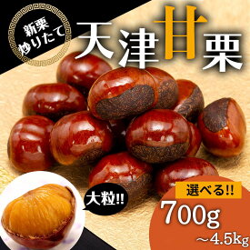【ふるさと納税】無添加 大粒天津甘栗 《選べる700g～4.5kg》 【沖縄県・離島配送不可】 | 栗 くり 甘栗 天津甘栗 大粒 フルーツ 果物 くだもの 食品 人気 おすすめ 送料無料