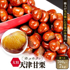 【ふるさと納税】【先行予約】＼注文数急上昇／ 無添加 大粒天津甘栗 《選べる700g～7kg》 2026年10月下旬より順次発送 【沖縄県・離島配送不可】 | 食べ応え 鮮度抜群 栗 焼いた当日の甘栗のみ使用 新栗炒りたて 冷凍庫保管 アレンジOK 送料無料 保存料不使用