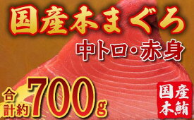 【ふるさと納税】国産 本マグロ ブロック(中トロ・赤身) 約700g