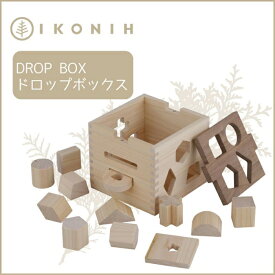 【ふるさと納税】桧のおもちゃ アイコニー ドロップボックス IKONIH Drop Box